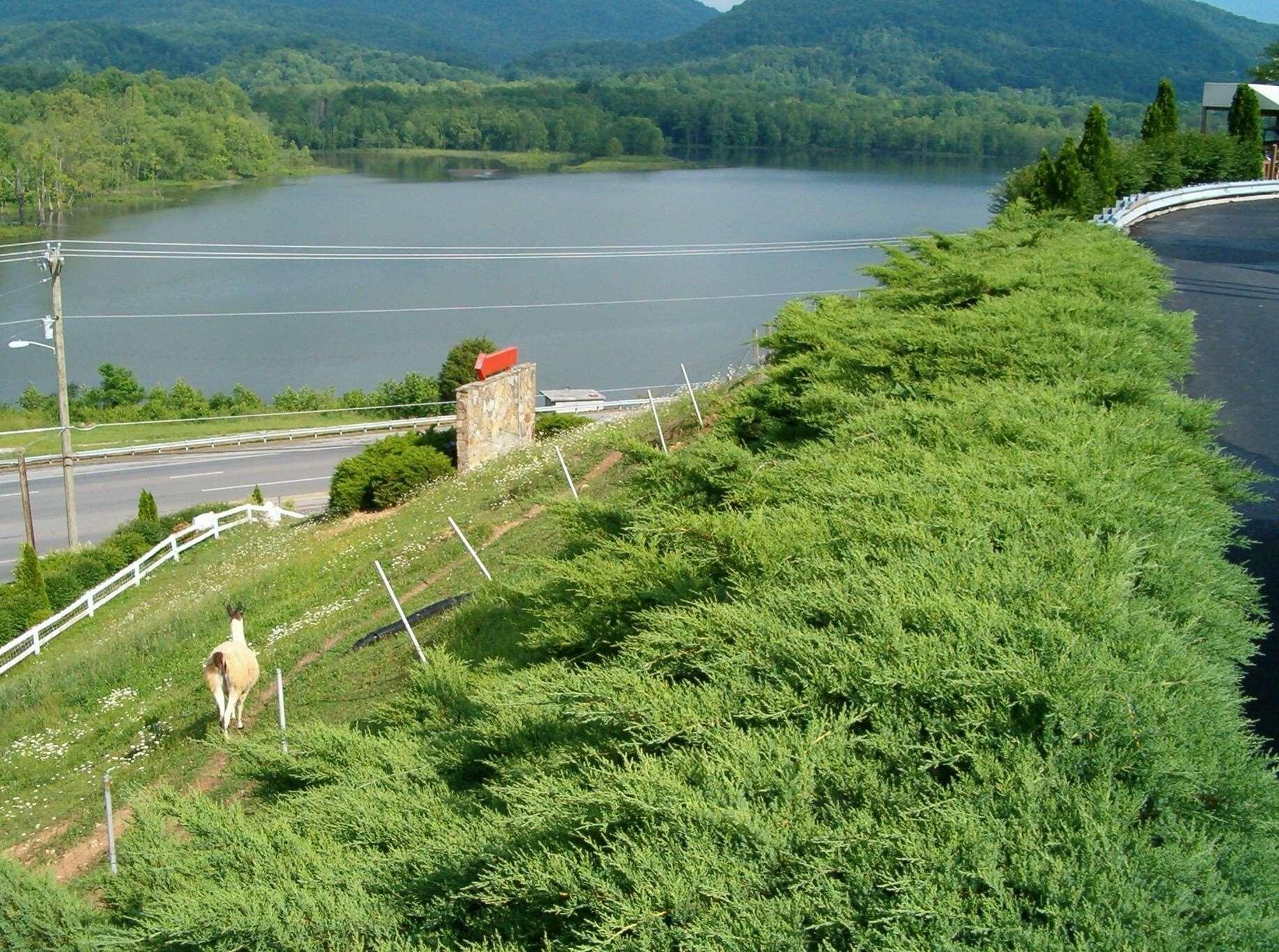 Hampton Inn Caryville-I-75/Cove Lake-State Park Exterior photo